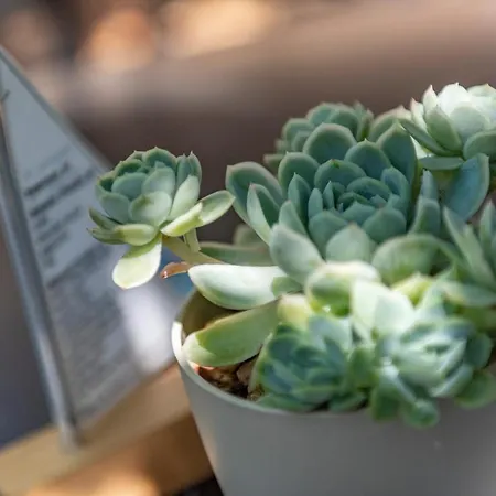 Hotel Le Relais D'agay 3*